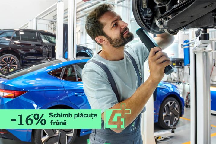 Schimb plăcute frana
