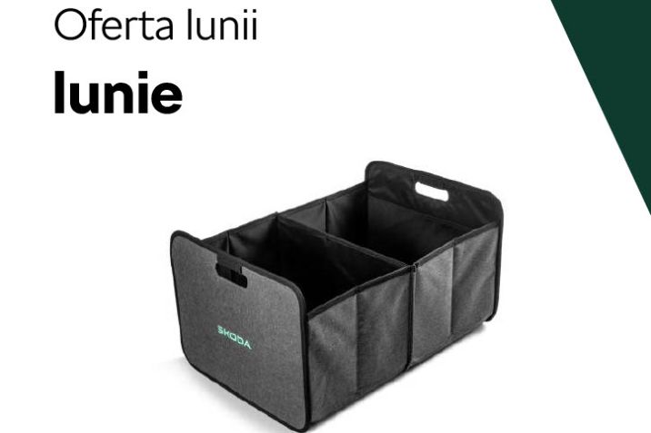 oferta lunii